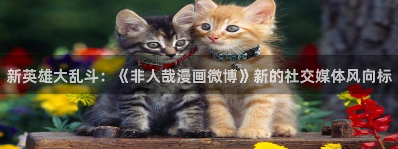 bl腐漫画网站：新英雄大乱斗：《非人哉漫画微博》新的社交媒体风向标