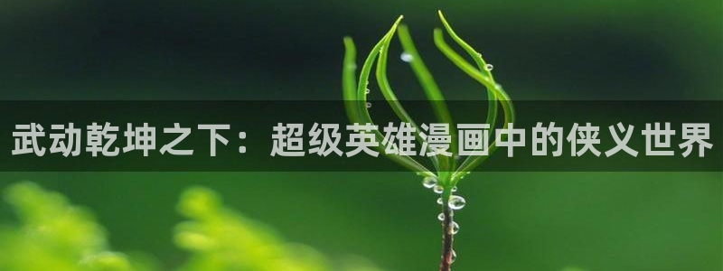 cc腐漫画网：武动乾坤之下：超级英雄漫画中的侠义世界