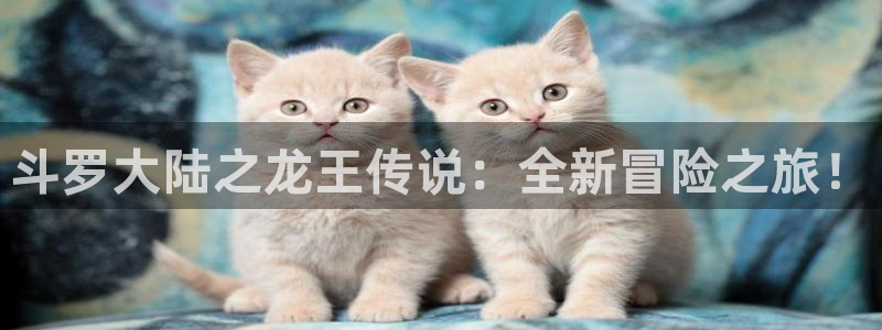 腐漫画网肉：斗罗大陆之龙王传说：全新冒险之旅！