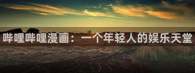 腐漫画网免费：哔哩哔哩漫画：一个年轻人的娱乐天堂